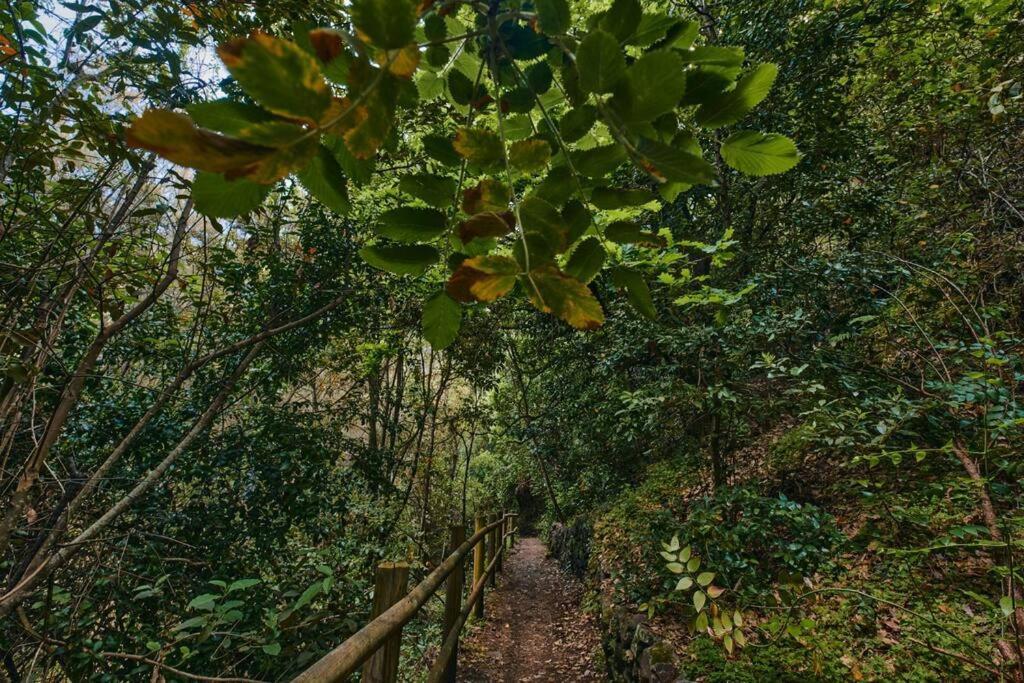 La Buhardilla Daire Moya  Dış mekan fotoğraf